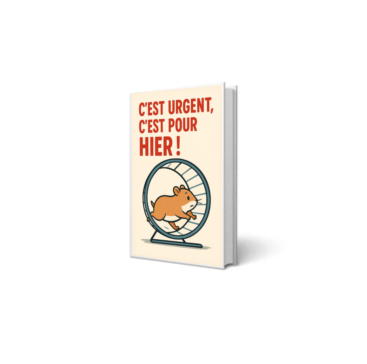 ROUTINES - Pour se défaire de la routine Des routines et des techniques légères applicables immédiatement pour déclencher et cultiver une dynamique d’amélioration continue et déployer les approches Lean et Agile dans les services.